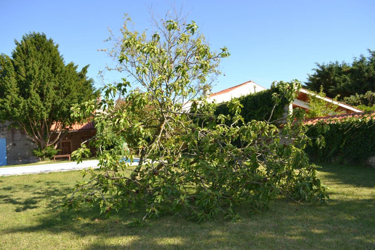 לינה וארוחת בוקר La Maison De Thiré מראה חיצוני תמונה